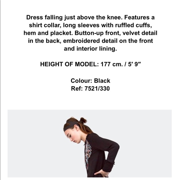 Zara chiffon mini dress - Picture 8 of 8